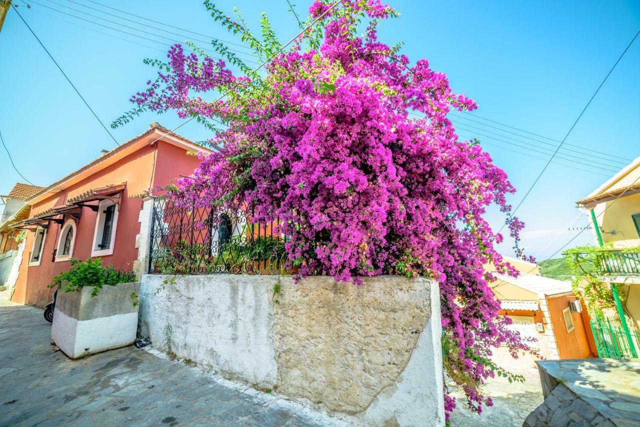 Апартаменты Menecrates Rustic - San Matteo Agios Matthaios  Экстерьер фото