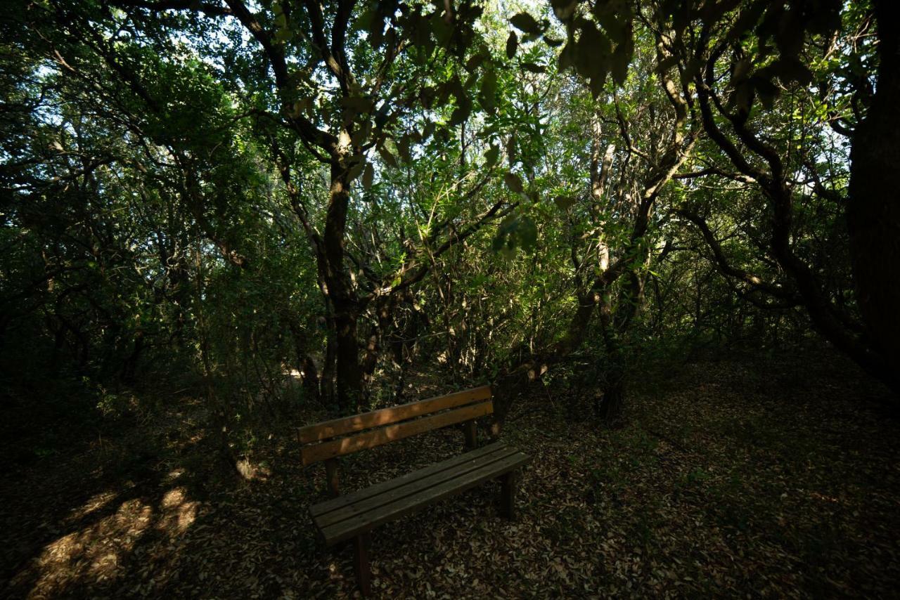 Апартаменты Menecrates Rustic - San Matteo Agios Matthaios  Экстерьер фото