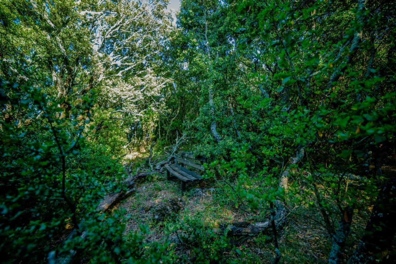 Апартаменты Menecrates Rustic - San Matteo Agios Matthaios  Экстерьер фото