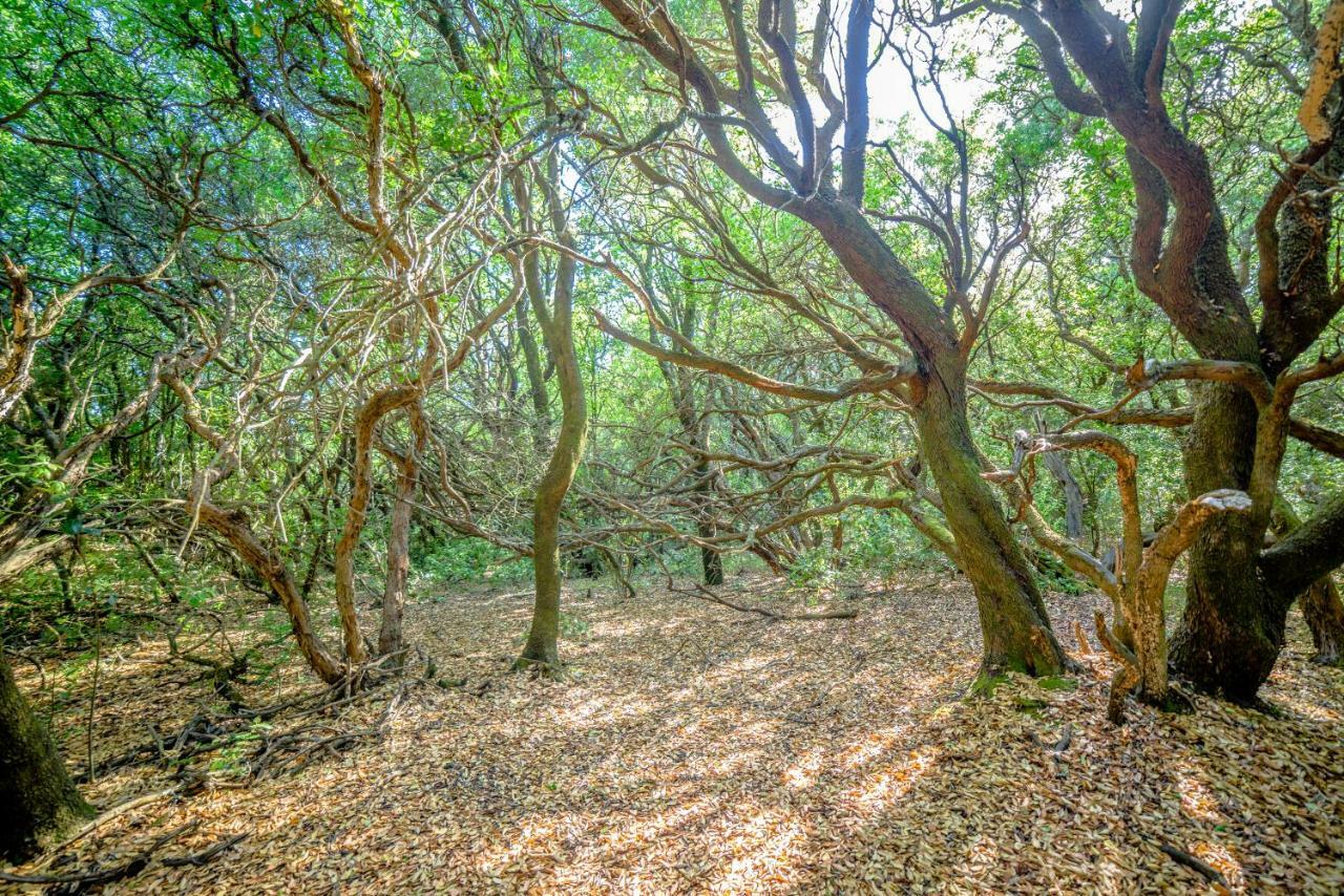 Апартаменты Menecrates Rustic - San Matteo Agios Matthaios  Экстерьер фото